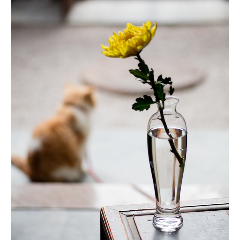 美帮汇玻璃花瓶台面花插茶席插花花器...